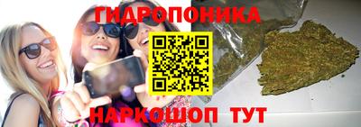 спиды Краснознаменск