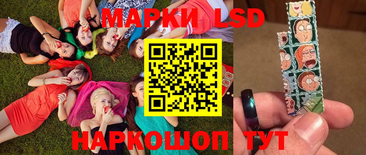 Марки NBOMe 1,5мг  Вход с VPN  Заводоуковск 