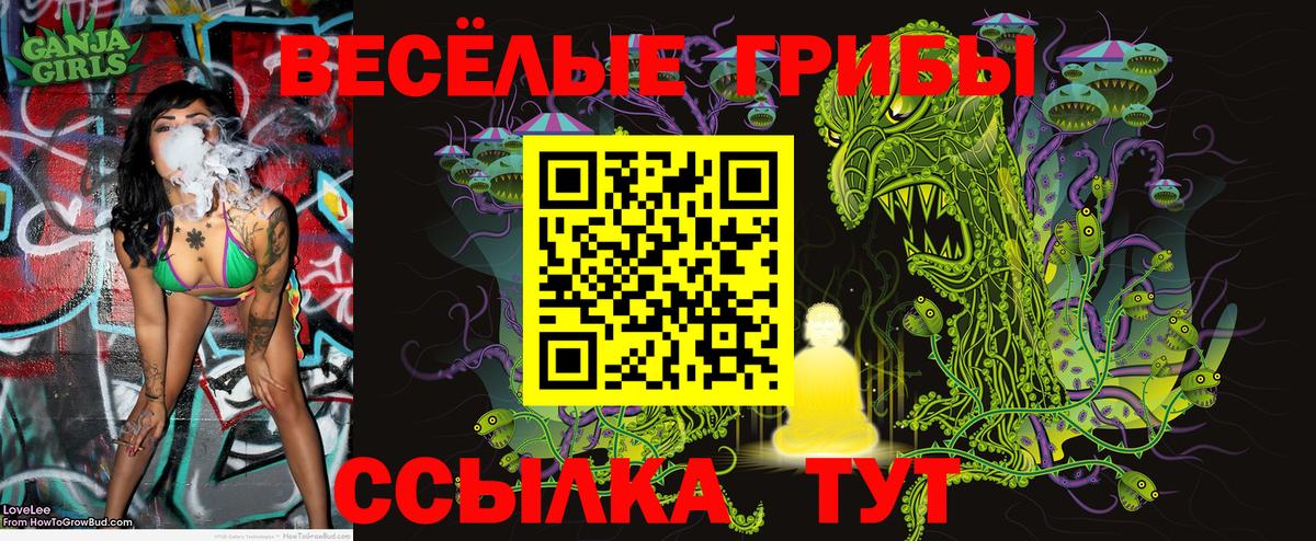 Псилоцибиновые грибы мицелий  Вход с VPN  Заводоуковск  Галлюциногенные грибы Magic Shrooms 