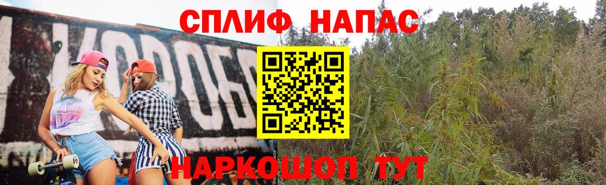 Каннабис OG Kush Заводоуковск